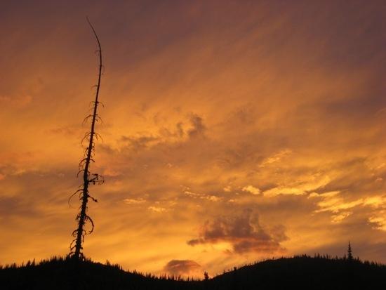 sunset 4