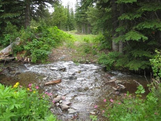 sheridan lake stream
