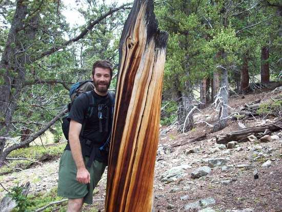 An interesting tree on our first climb of the day