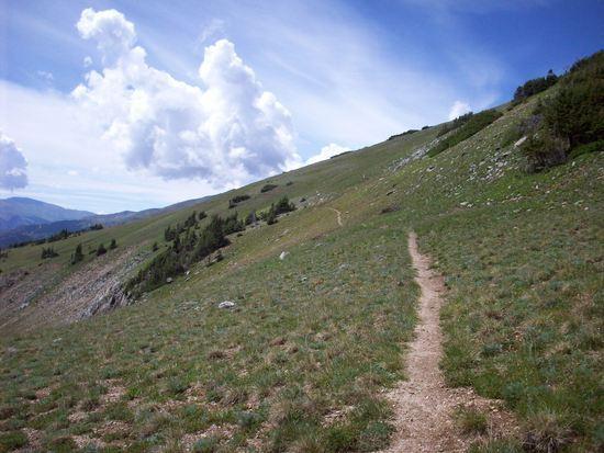 On the way up the Tenmile Range