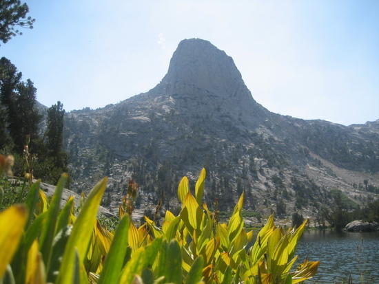 Sierra Gold