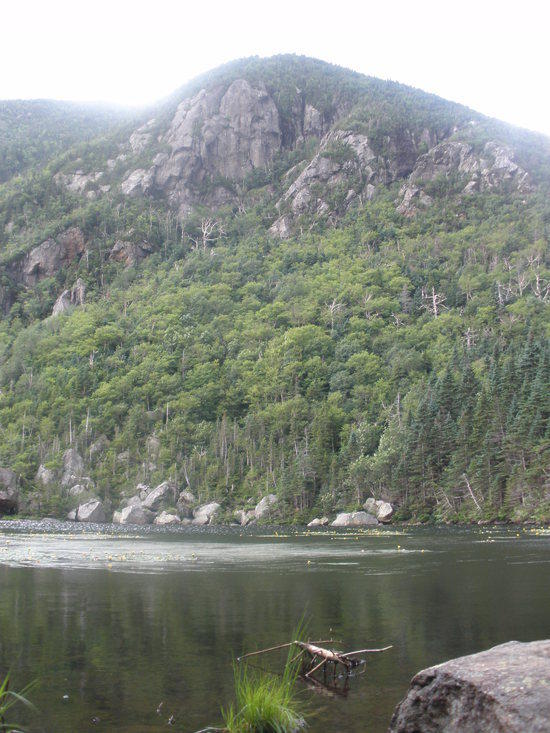 The Lake