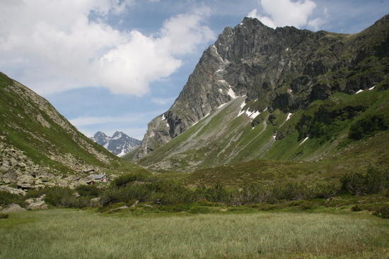 alpenhorn
