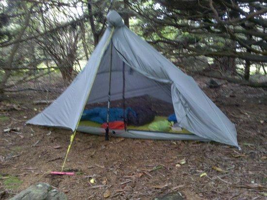 GC in woods