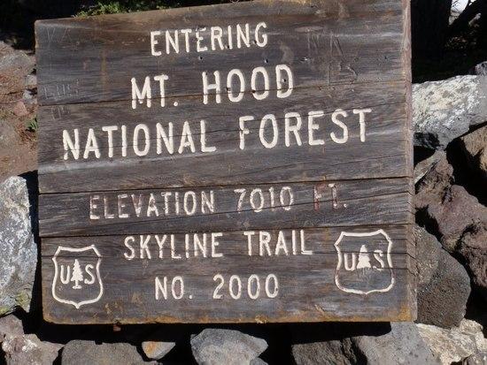 From Jefferson Park you climb to the saddle and summit at 7010 ft.