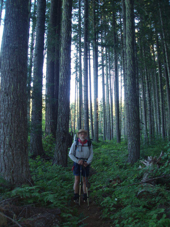 Ed in beautiful old growth forest