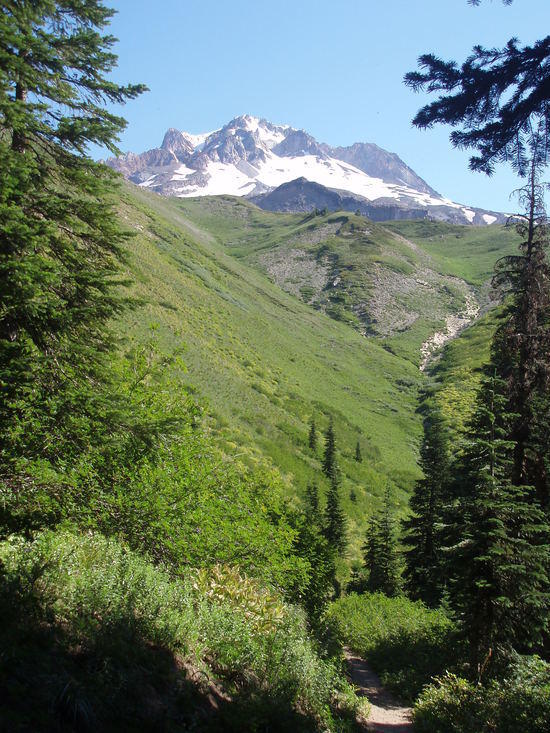The Paradise Park loop is well worth taking.
