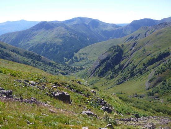 View down into Adams Fork
