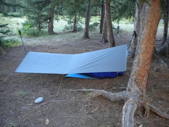 Tarp