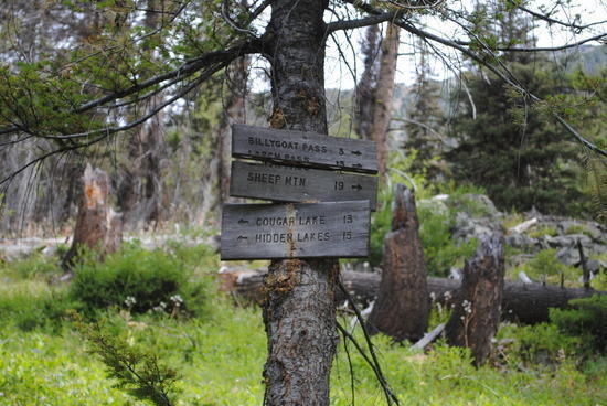 Pasayten