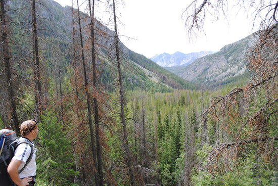 Pasayten