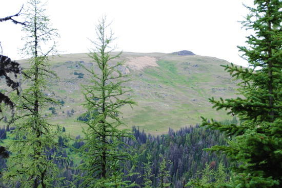 Pasayten