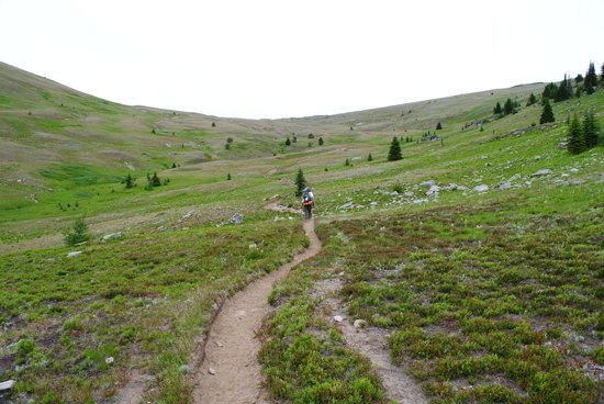 Pasayten