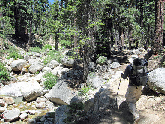Getting Our Trail Legs Back