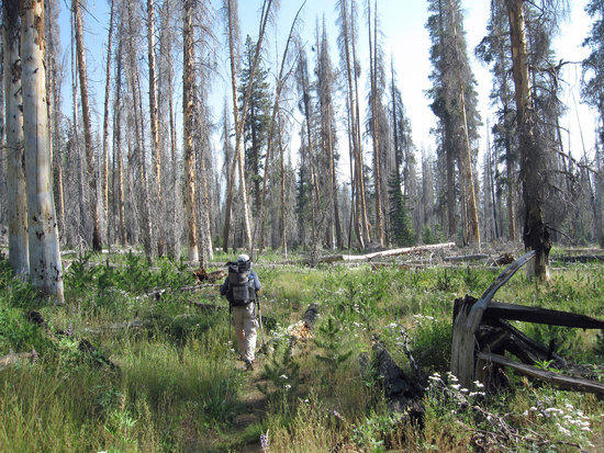 On the trail to Belle Canyon