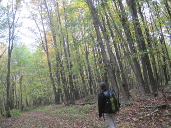 walking