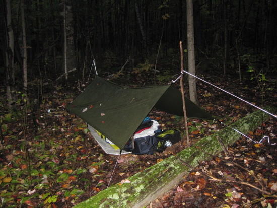 tarp