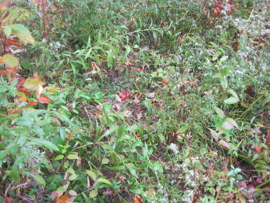 poor trail conditions