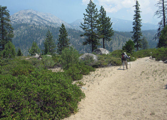 Sentinel Dome Elevation 9115 FT