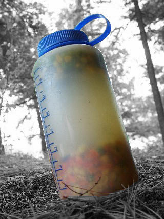 veggies being rehydrated