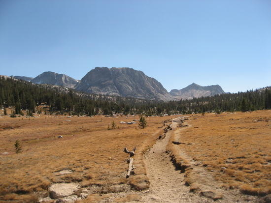 vogelsang meadow