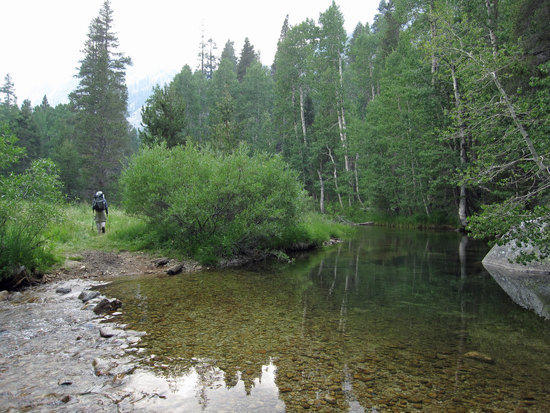 Diving Deeper into Deadman Canyon