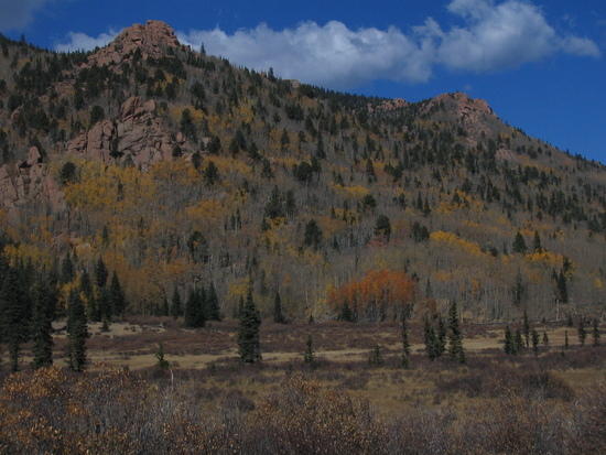 LC Fall 07