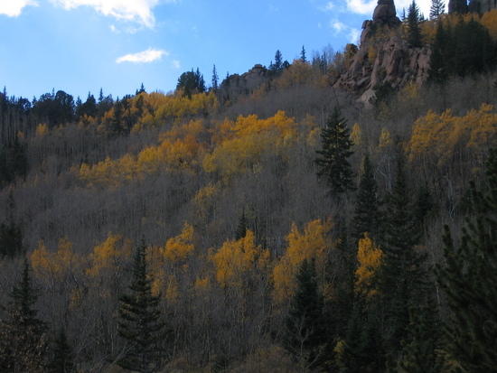 LC Fall 08