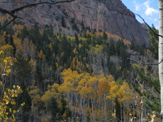 LC Fall 13