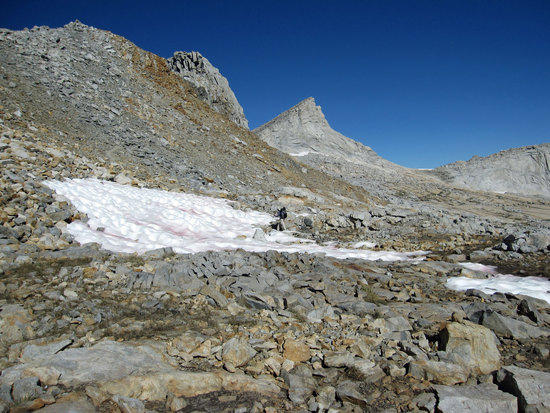 Jeremy Starts Across a Patch of Ice