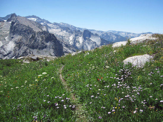 The Hills are Alive the Colors of Spring