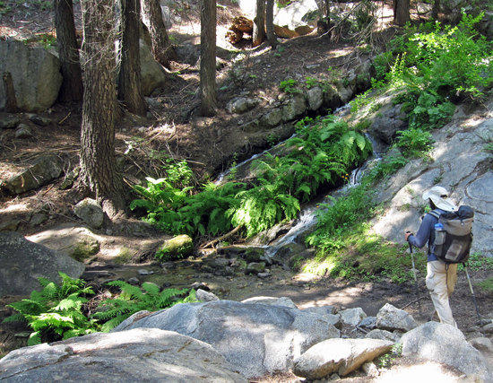 Pleasantly Shaded Trail