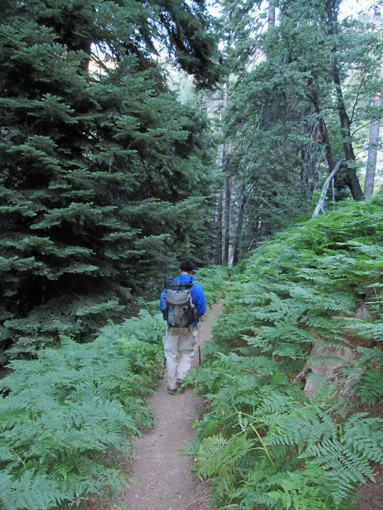 Cool Morning Trail