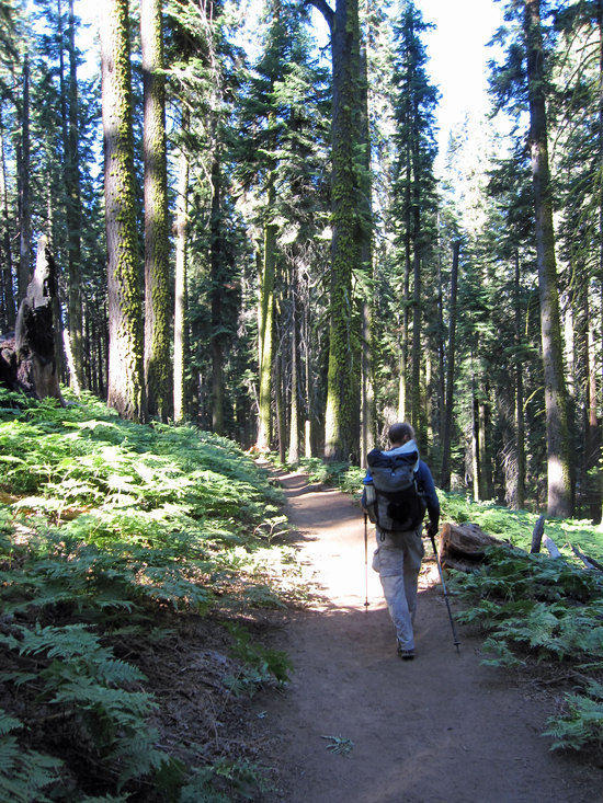 Racing to the End, Entering Crescent Meadow
