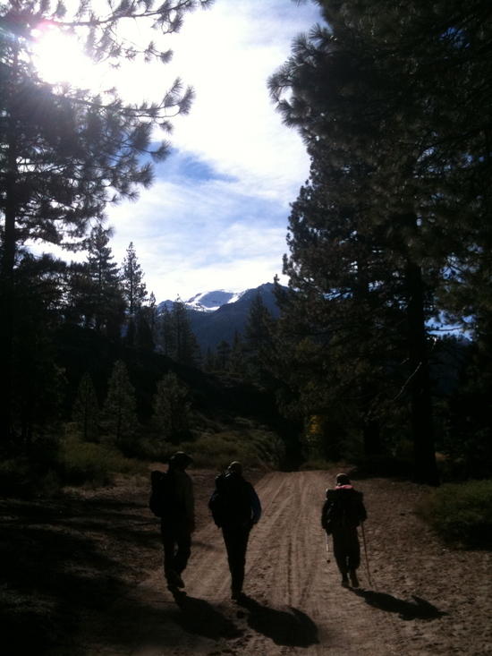 the hike in