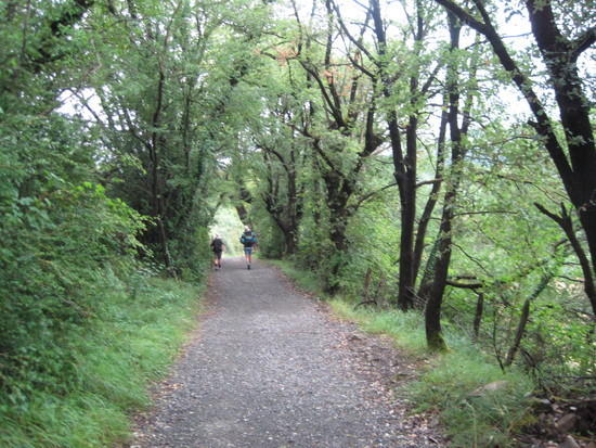 nice walking