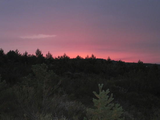 sunrise