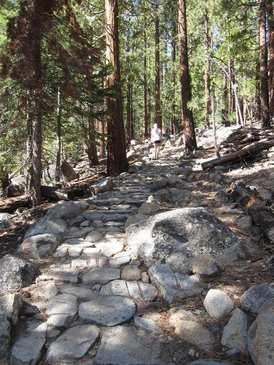 serene trail
