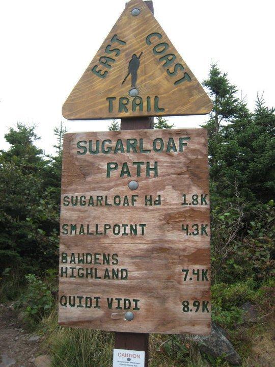 Closest of 3 new trails north of city, rest of trail is south of St. John's.