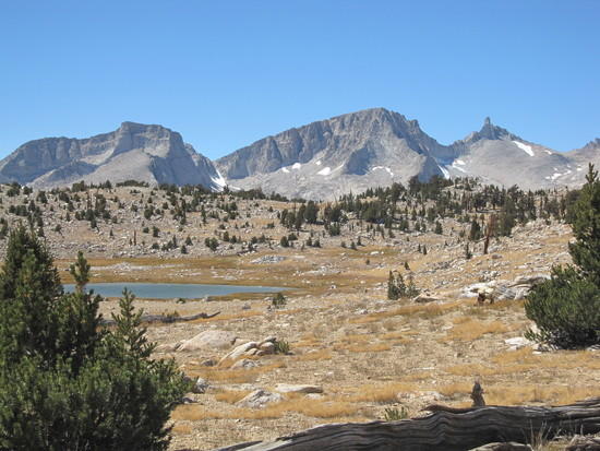 aaa