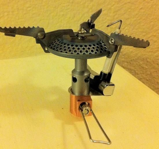 Gnat