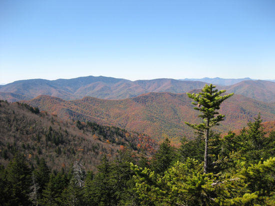 view