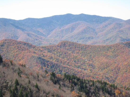 view7