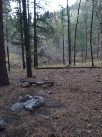 Campsite