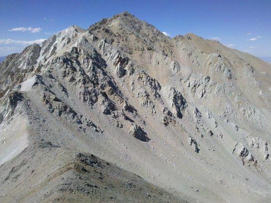 Montgomery and Boundary Peaks