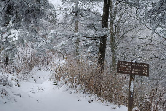 Newfound Gap