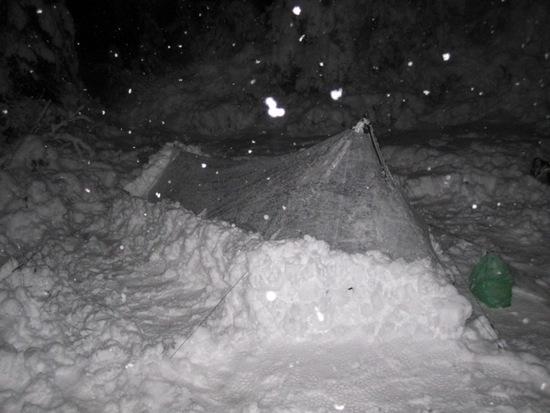 Echo Snow