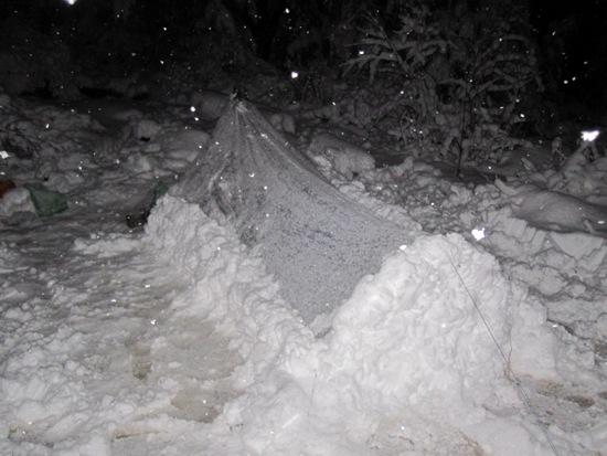 Echo Snow 2