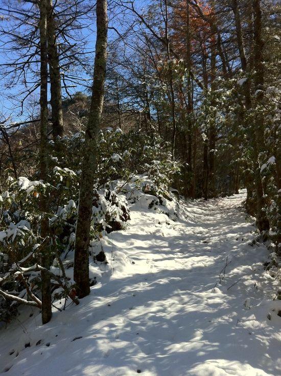 snow trail