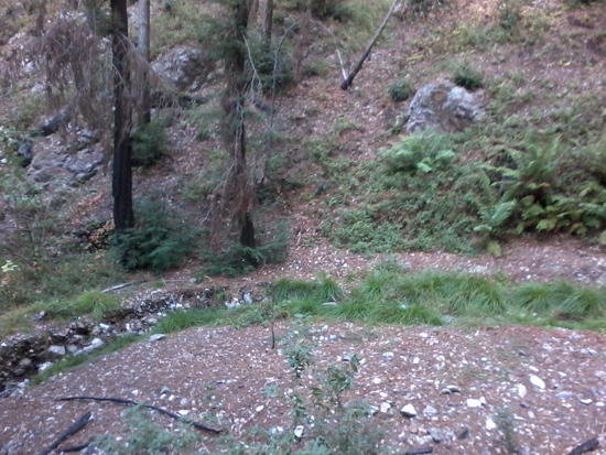 creek